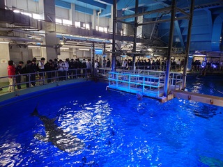 かごしま水族館