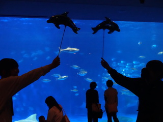 かごしま水族館
