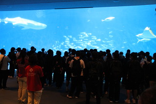 かごしま水族館