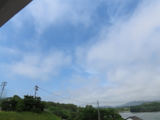 今日の天気