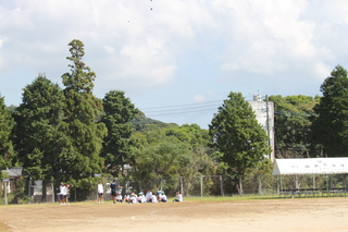 招集編成の確認
