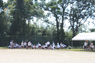 招集編成の確認