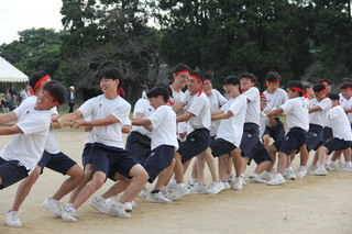 綱引き（紅組）