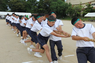 綱引き（緑組）