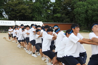 綱引き（青組）